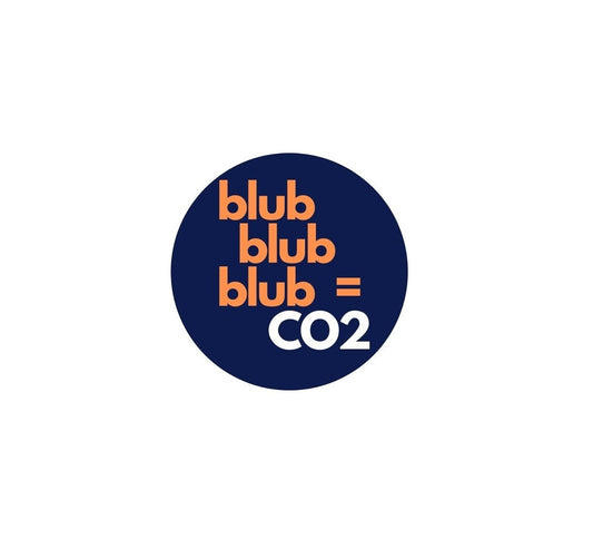 Schritt-für-Schritt-Anleitung: Installation einer CO2-Anlage in Ihrem Aquarium