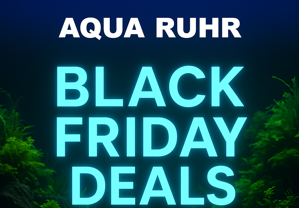 BLACKFRIDAYDEALS
