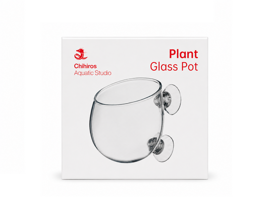 Chihiros Plant Pot | Glas Vase für Pflanzen