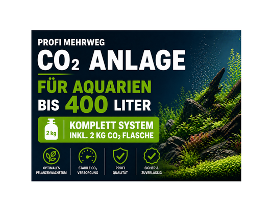 CO₂ Dünge Profi Anlage für Aquarien bis 400 Liter – Komplettset inkl. 2 kg Mehrwegflasche