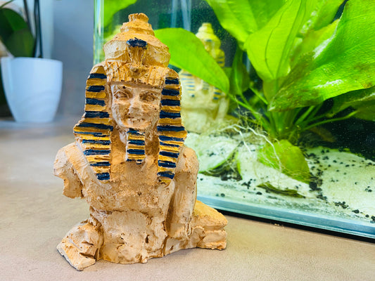 Ägyptische Skulptur – Mystische Dekoration für Ihr Aquarium