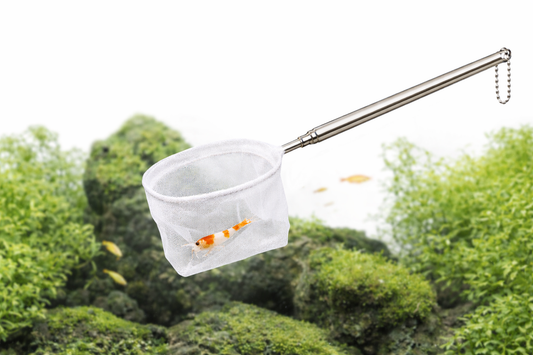 Garnelen-Kescher – teleskopierbar & feinmaschig (Variante A10 / B7)