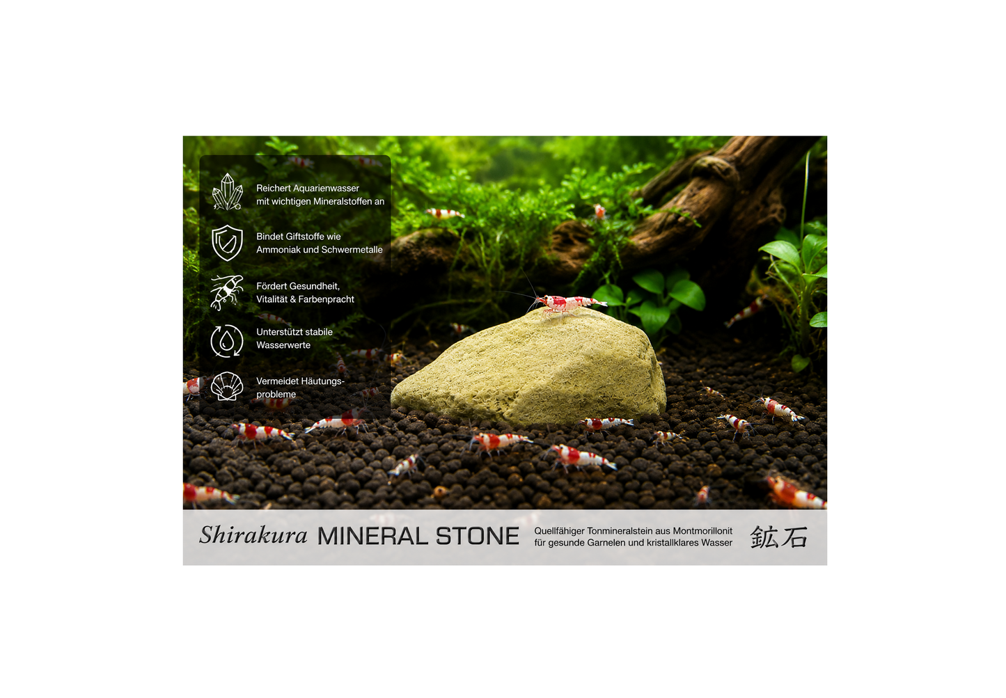 Shirakura Mineral Stone 200 g | Natürliche Mineralien für gesunde Garnelen
